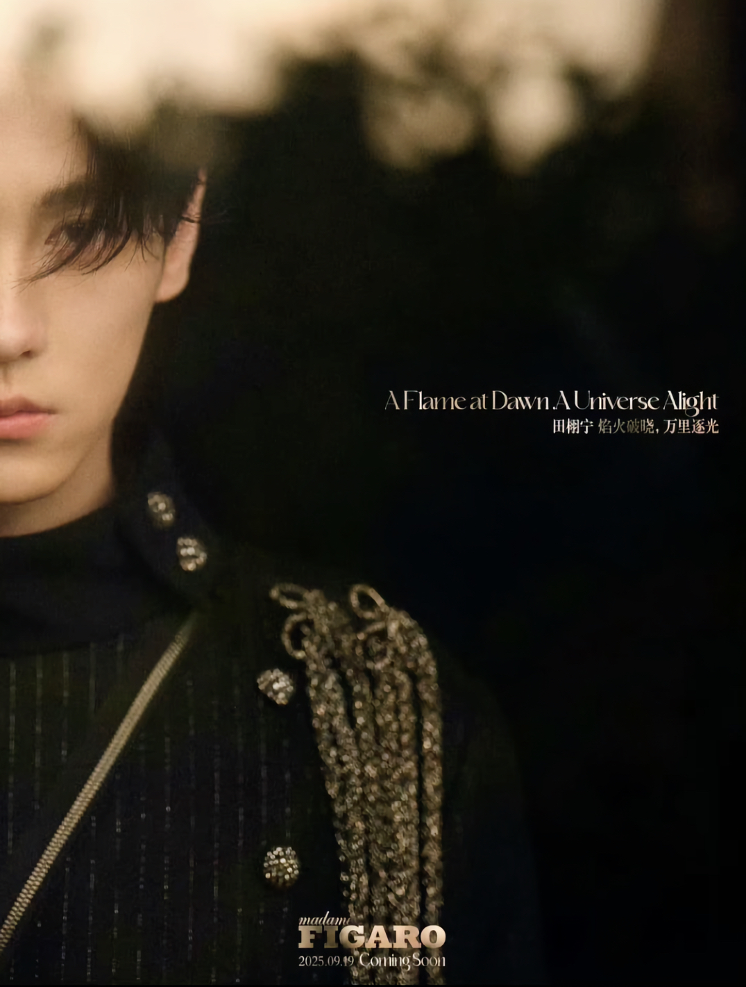 Tian Xu Ning in Julien Fournié in Madame Figaro 中文版