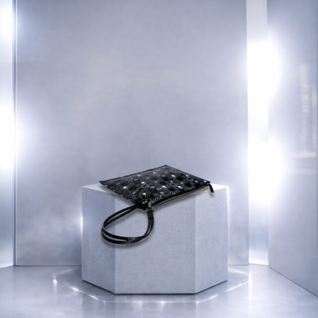Les Pochettes de luxe Pluton